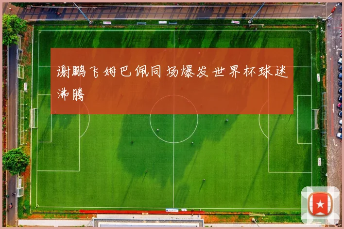 谢鹏飞姆巴佩同场爆发世界杯球迷沸腾