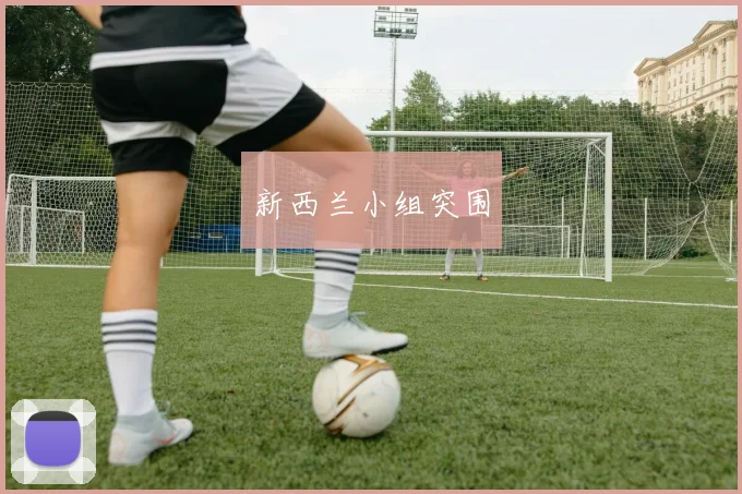 新西兰小组突围