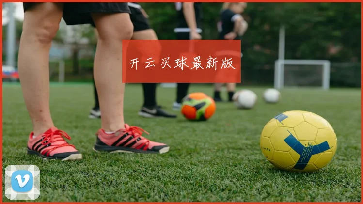 开云买球最新版