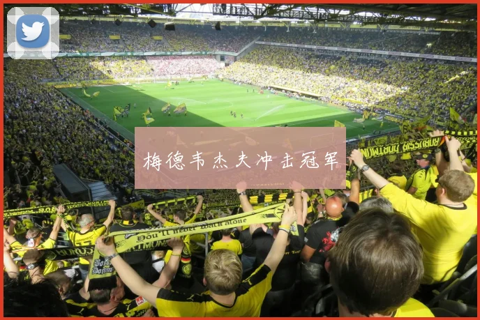 梅德韦杰夫冲击冠军