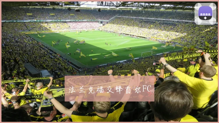 法兰克福交锋首尔FC