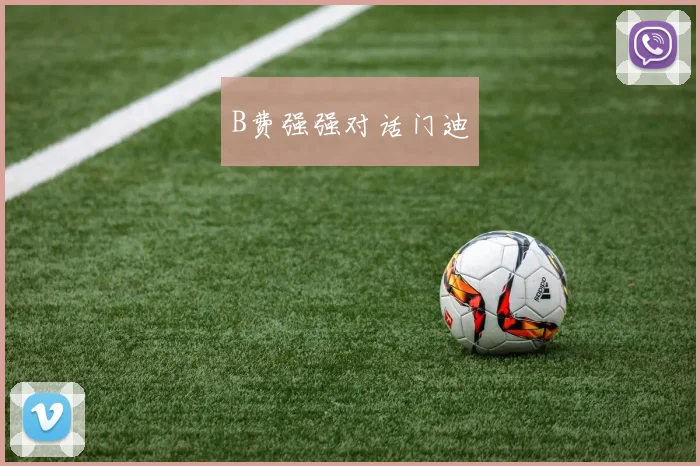 B费强强对话门迪