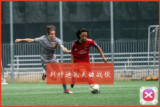 科特迪瓦关键战役