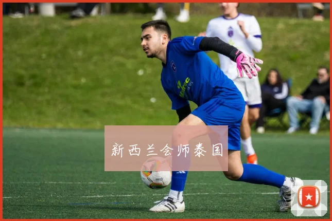 新西兰会师泰国
