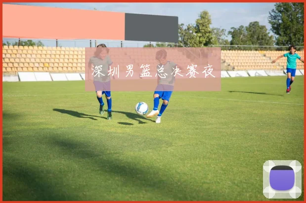 深圳男篮总决赛夜