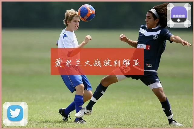 爱尔兰大战玻利维亚