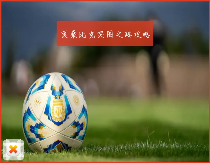 莫桑比克突围之路攻略