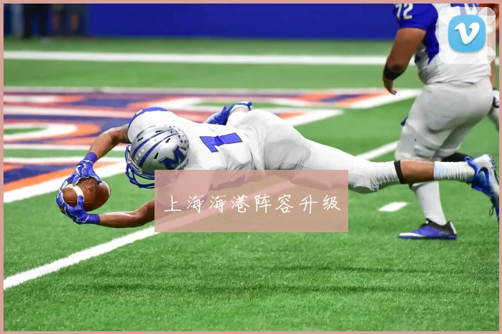 上海海港阵容升级