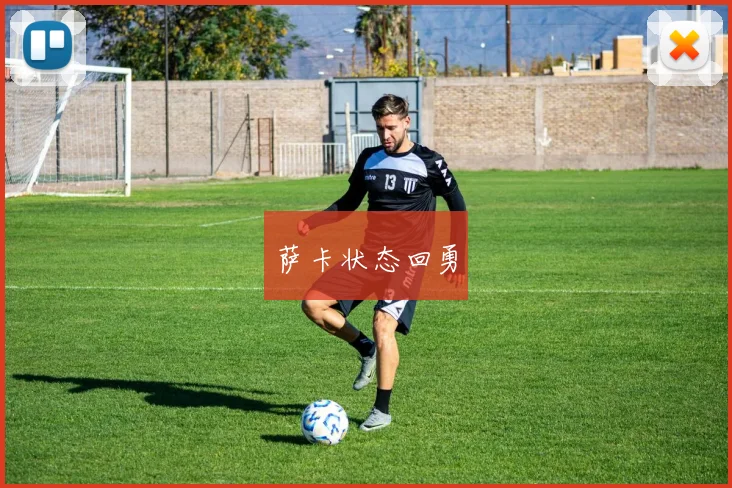 萨卡状态回勇