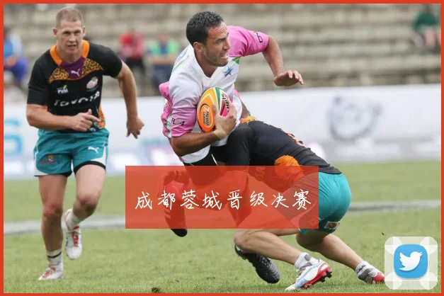 成都蓉城晋级决赛