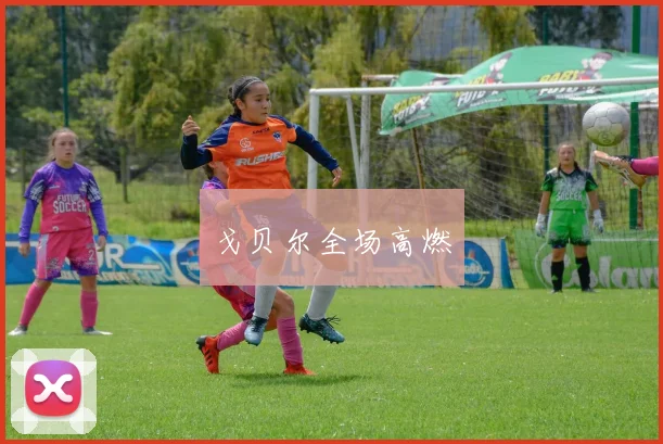 戈贝尔全场高燃