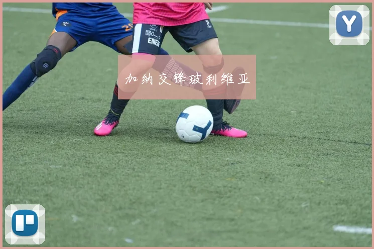 加纳交锋玻利维亚
