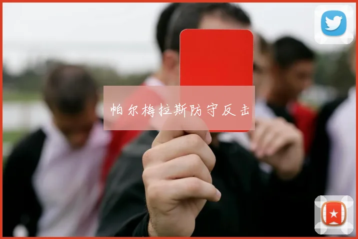 帕尔梅拉斯防守反击