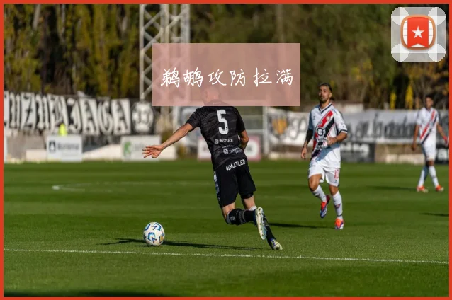 鹈鹕攻防拉满