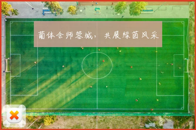 葡体会师蓉城，共展绿茵风采