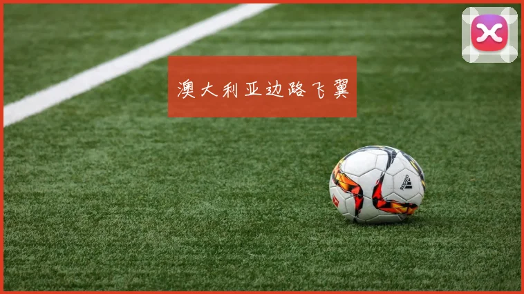 澳大利亚边路飞翼