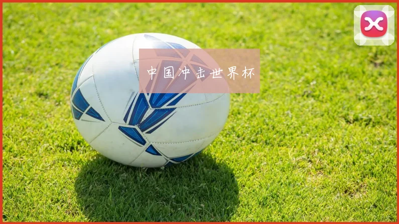 中国冲击世界杯