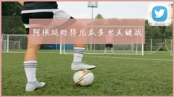 阿根廷对阵厄瓜多尔关键战