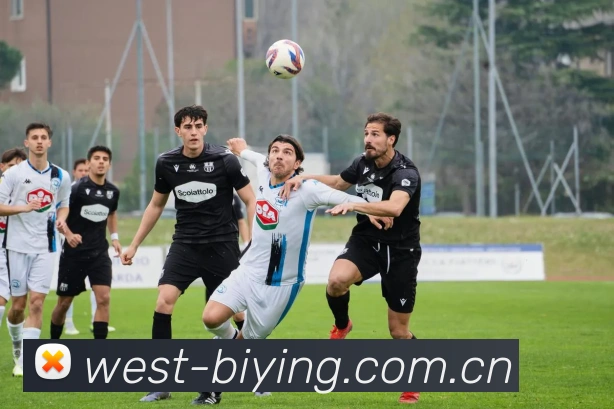 必赢官网app下载入口App下载