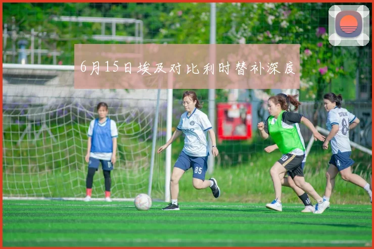 6月15日埃及对比利时替补深度